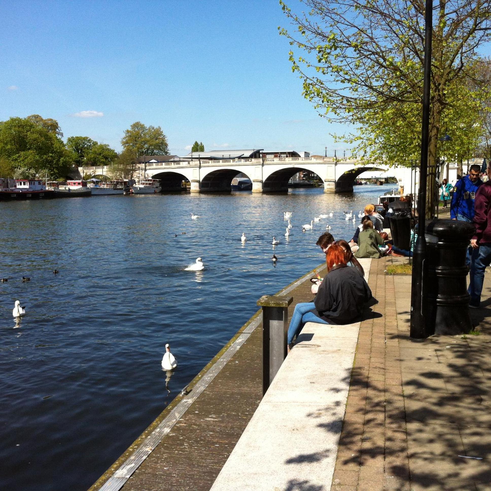 Surbiton Home With Free Parkings, Surbiton, Kingston Upon Thames, Surrey, Greater London Uk Eksteriør billede